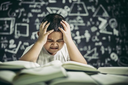 Trastornos del Neurodesarrollo y Escuela - Online
